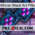 African Black Ant Pills 03